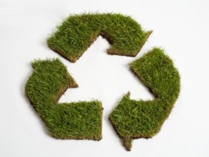 Eco-technology to the developed in the new year! 