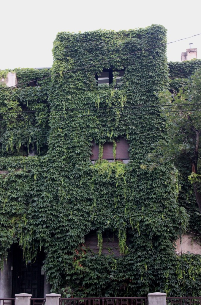 Building on Dacia Boulevard 