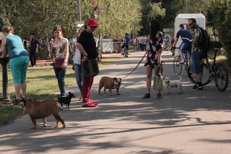 GreenSounds Music Festival in Herastrau Park