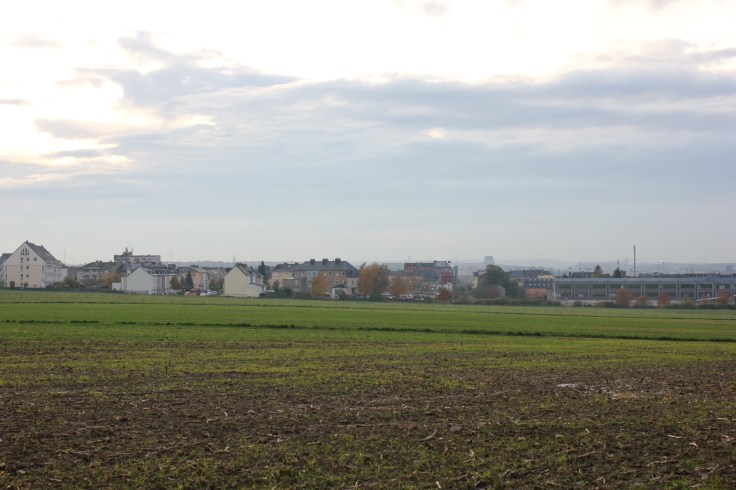 Autumn Luxembourg Roxana Mironescu