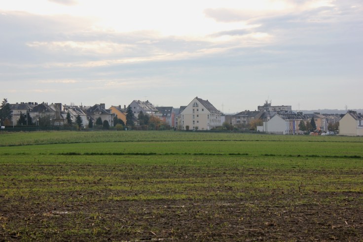 Autumn Luxembourg Roxana Mironescu