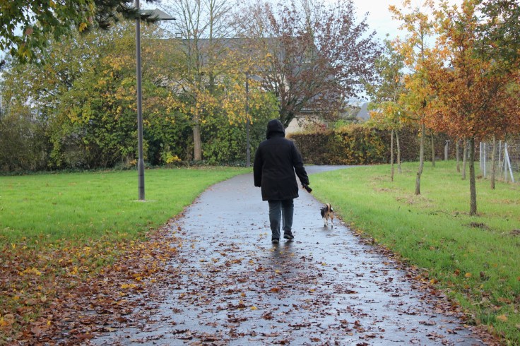 Autumn Luxembourg Roxana Mironescu