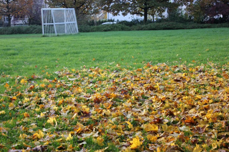 Autumn Luxembourg Roxana Mironescu