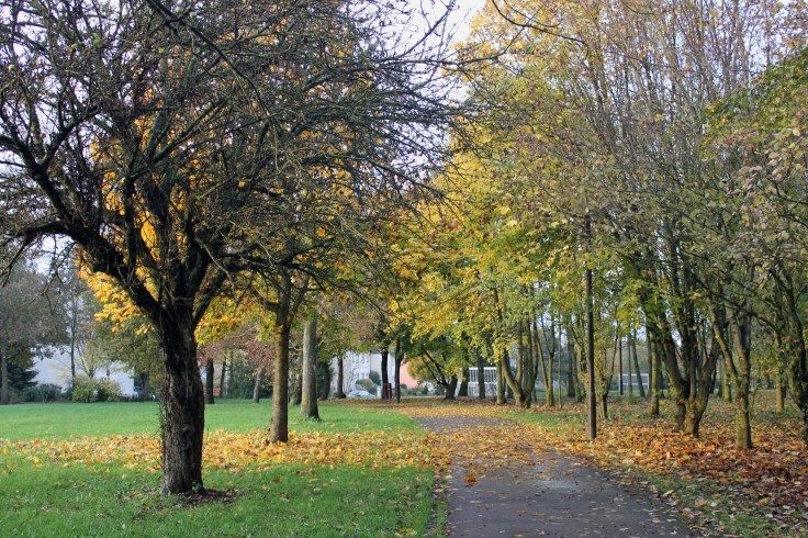 Autumn Luxembourg Roxana Mironescu